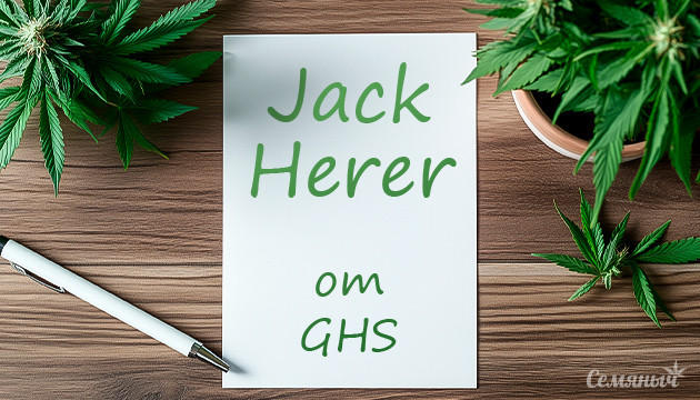 Гроурепорт сорта каннабиса Jack Herer fem от Green House Seeds